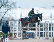 Belinda FZ Tosc Tour2013- S5 1935 : Arezzo, Belinda FZ, Cavalli d'Italia, Toscana Tour 2013, foto di Stefano Secchi ©
